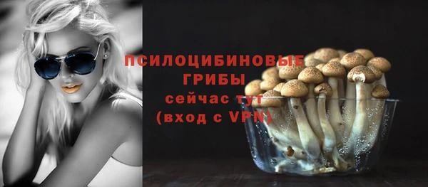 дмт Баксан