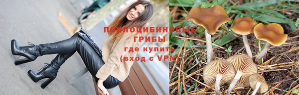 дмт Баксан