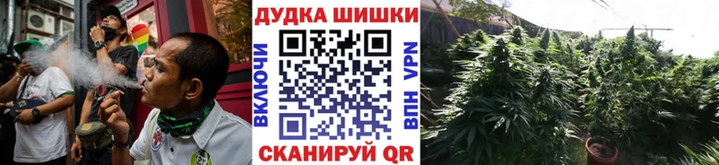 Каннабис сатива  даркнет сайт  Гдов 